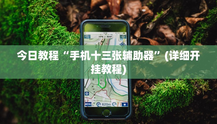 今日教程“手机十三张辅助器”(详细开挂教程)