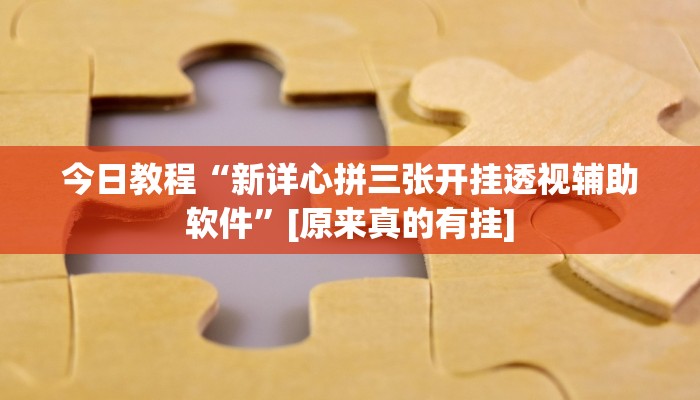 辅助神器“hhpoker辅助作弊”详细开挂教程