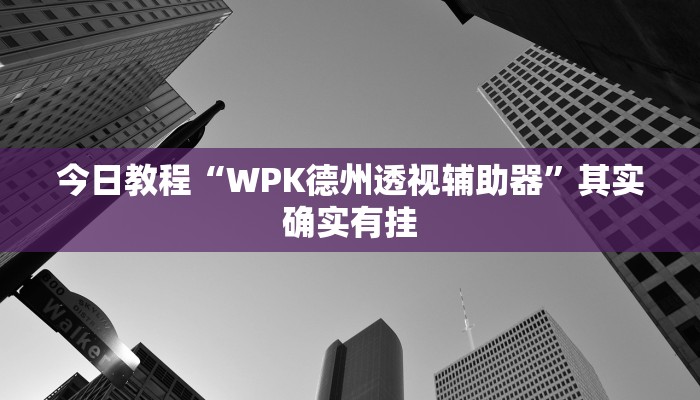 今日教程“WPK德州透视辅助器”其实确实有挂