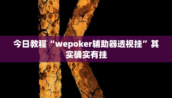 今日教程“wepoker辅助器透视挂”其实确实有挂