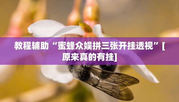 教程辅助“蜜蜂众娱拼三张开挂透视”[原来真的有挂]