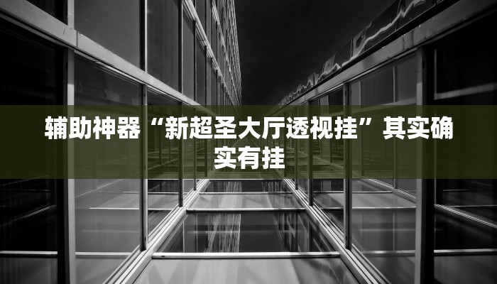 辅助神器“新超圣大厅透视挂”其实确实有挂
