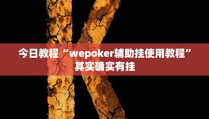 今日教程“wepoker辅助挂使用教程”其实确实有挂