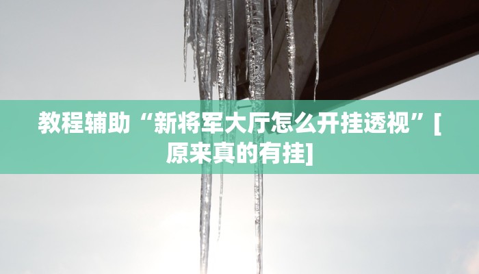 教程辅助“新将军大厅怎么开挂透视”[原来真的有挂]