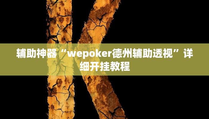 辅助神器“wepoker德州辅助透视”详细开挂教程