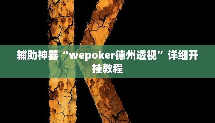 辅助神器“wepoker德州透视”详细开挂教程