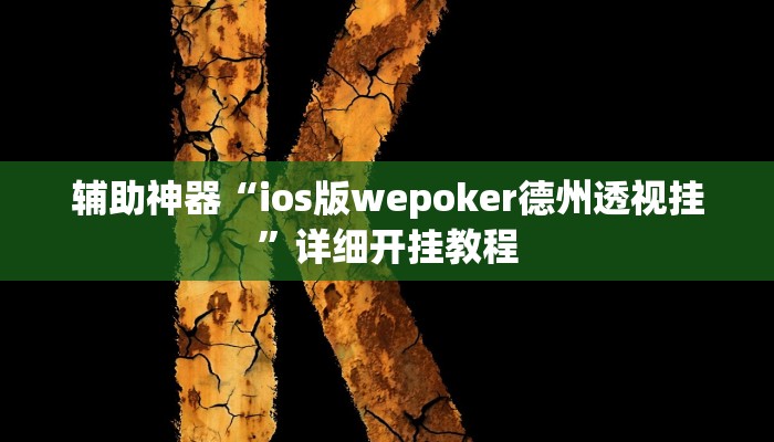 辅助神器“ios版wepoker德州透视挂”详细开挂教程
