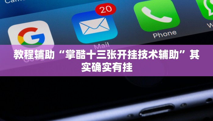 教程辅助“掌酷十三张开挂技术辅助”其实确实有挂