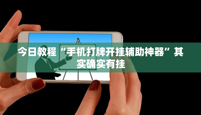 辅助神器“皮皮跑胡子赢钱规律”(详细开挂教程)