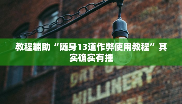 教程辅助“随身13道作弊使用教程”其实确实有挂