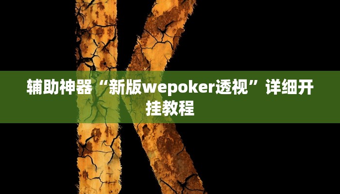 辅助神器“新版wepoker透视”详细开挂教程