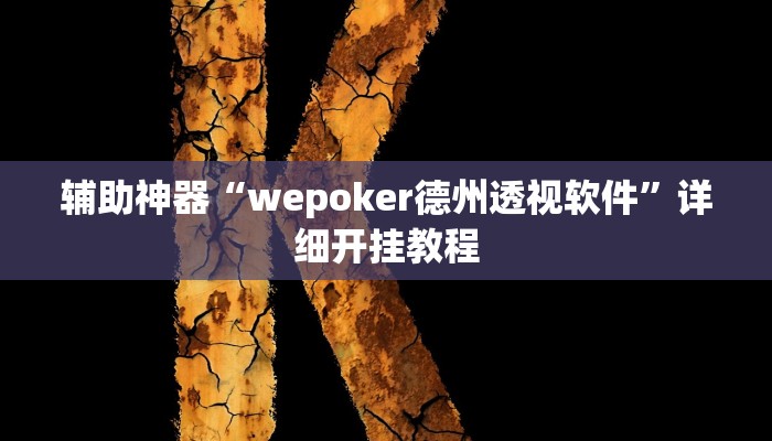 辅助神器“wepoker德州透视软件”详细开挂教程