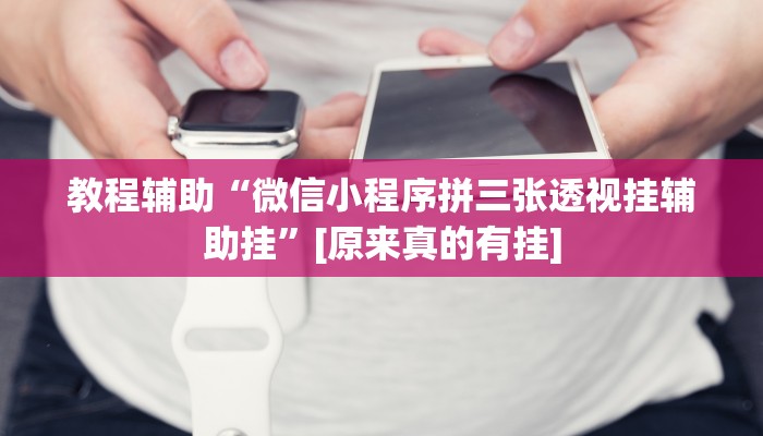 教程辅助“微信小程序拼三张透视挂辅助挂”[原来真的有挂]