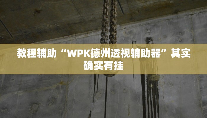 教程辅助“WPK德州透视辅助器”其实确实有挂