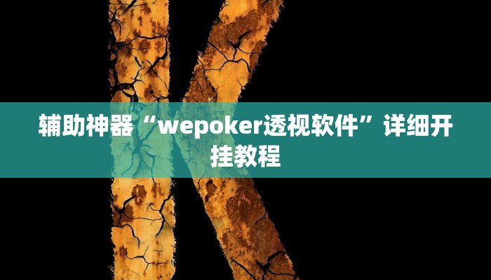 辅助神器“wepoker透视软件”详细开挂教程