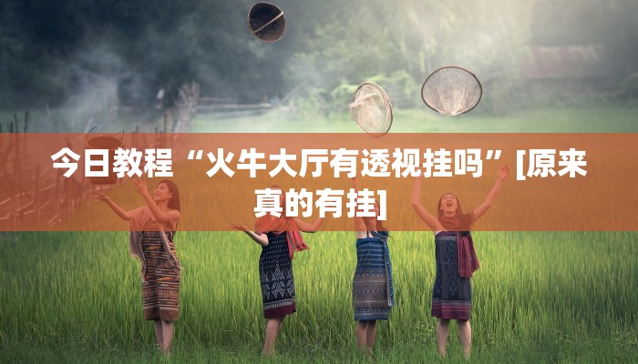 开挂辅助工具“微乐锄大地小程序有没有挂”开挂(透视)辅助神器