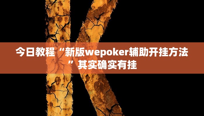 今日教程“新版wepoker辅助开挂方法”其实确实有挂