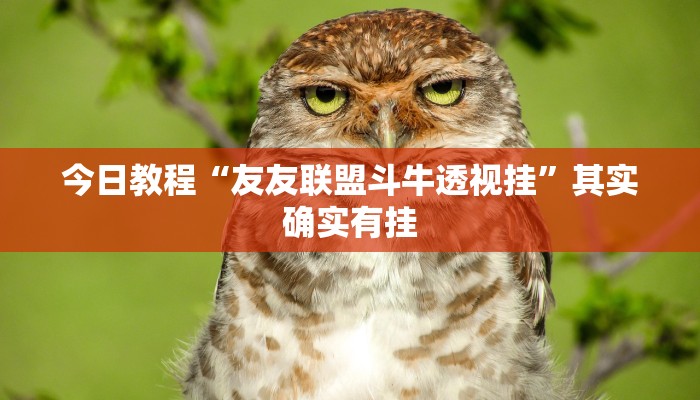 今日教程“友友联盟斗牛透视挂”其实确实有挂