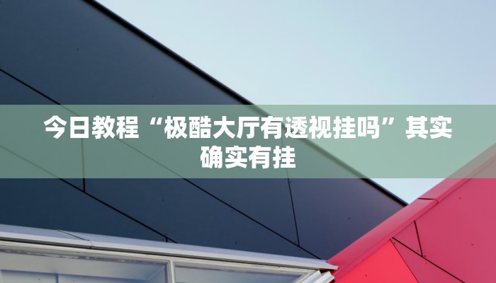 今日教程“极酷大厅有透视挂吗”其实确实有挂