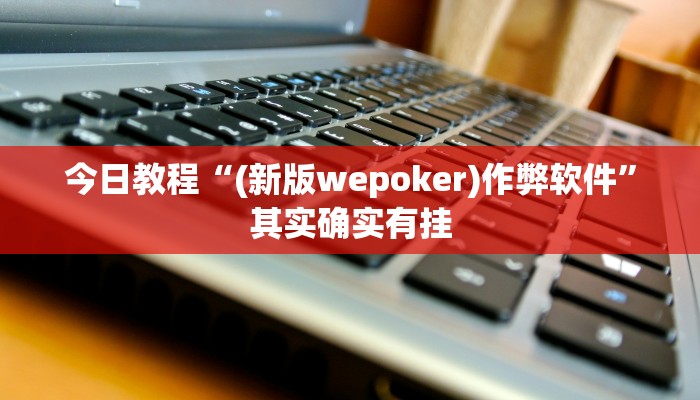 今日教程“(新版wepoker)作弊软件”其实确实有挂