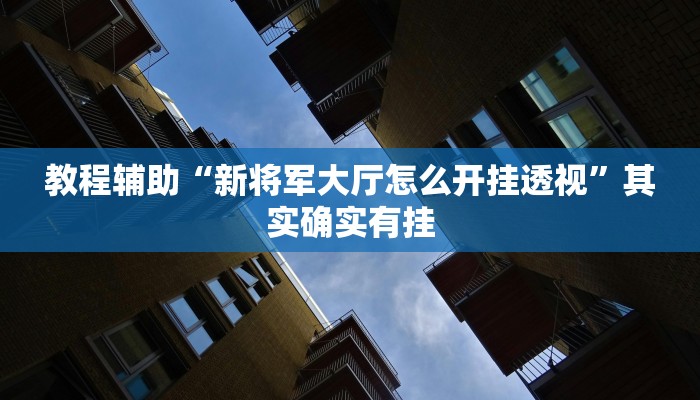 教程辅助“新将军大厅怎么开挂透视”其实确实有挂