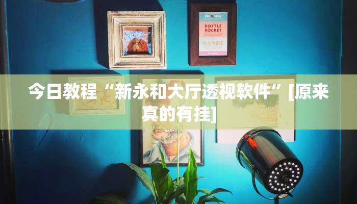 今日教程“新永和大厅透视软件”[原来真的有挂]