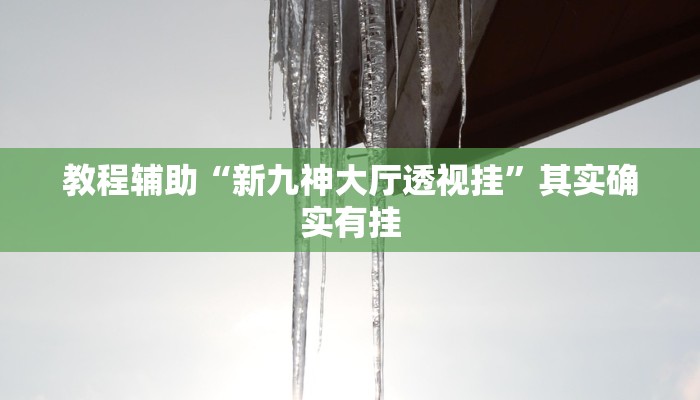 教程辅助“新九神大厅透视挂”其实确实有挂