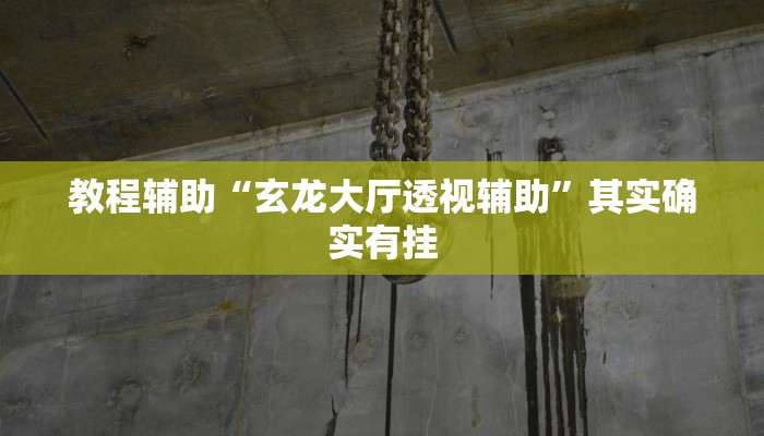 教程辅助“玄龙大厅透视辅助”其实确实有挂
