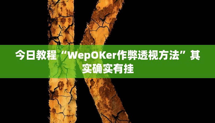今日教程“WepOKer作弊透视方法”其实确实有挂