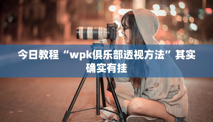 今日教程“wpk俱乐部透视方法”其实确实有挂