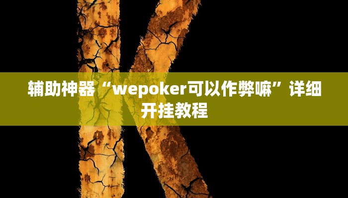 辅助神器“wepoker可以作弊嘛”详细开挂教程