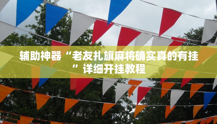 辅助神器“皮皮跑胡子开挂神器”详细开挂教程