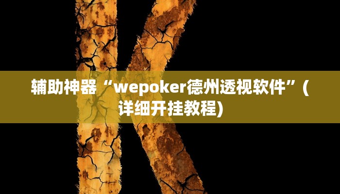 辅助神器“wepoker德州透视软件”(详细开挂教程)