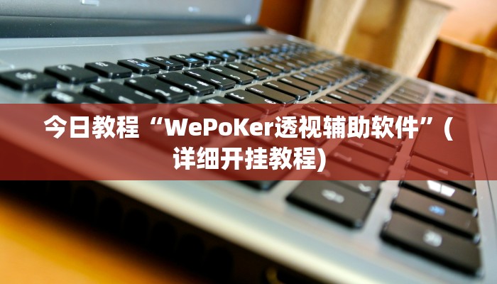 今日教程“WePoKer透视辅助软件”(详细开挂教程)