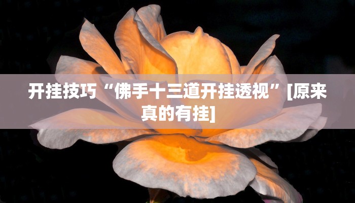 开挂技巧“佛手十三道开挂透视”[原来真的有挂]