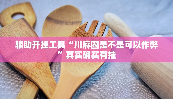 辅助神器“欢趣麻将开挂怎么弄”详细开挂教程