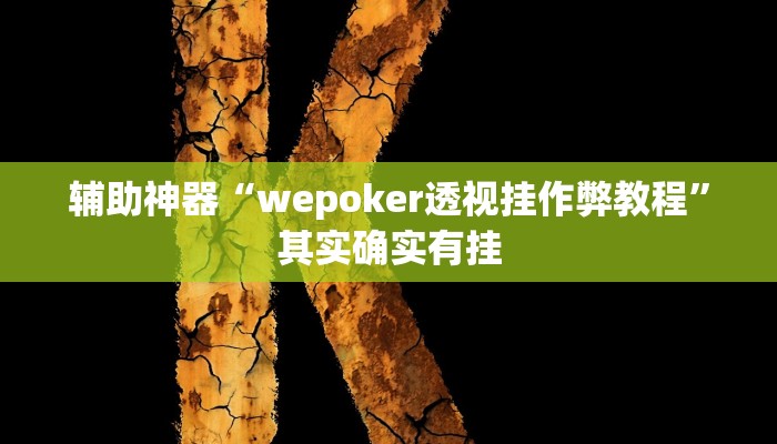 辅助神器“wepoker透视挂作弊教程”其实确实有挂