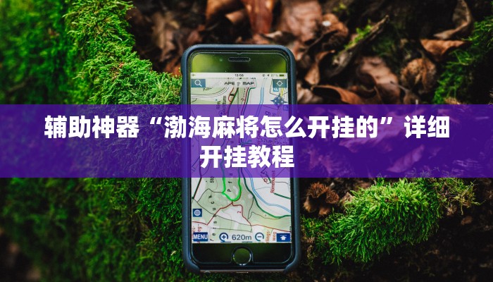 辅助神器“渤海麻将怎么开挂的”详细开挂教程