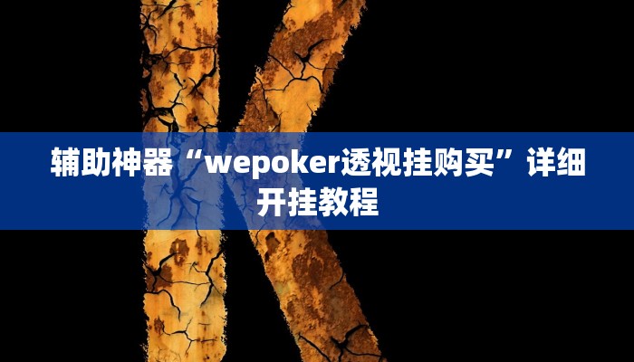 辅助神器“wepoker透视挂购买”详细开挂教程