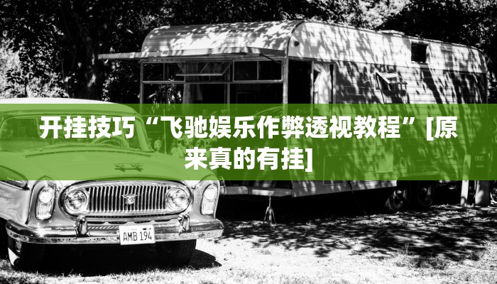 开挂技巧“飞驰娱乐作弊透视教程”[原来真的有挂]