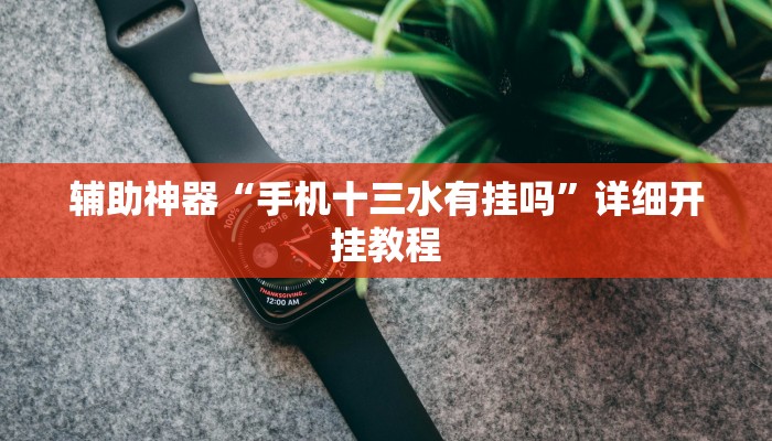 辅助神器“手机十三水有挂吗”详细开挂教程