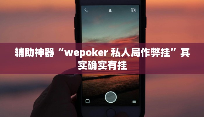 辅助神器“wepoker作弊辅助开挂工具”详细开挂教程