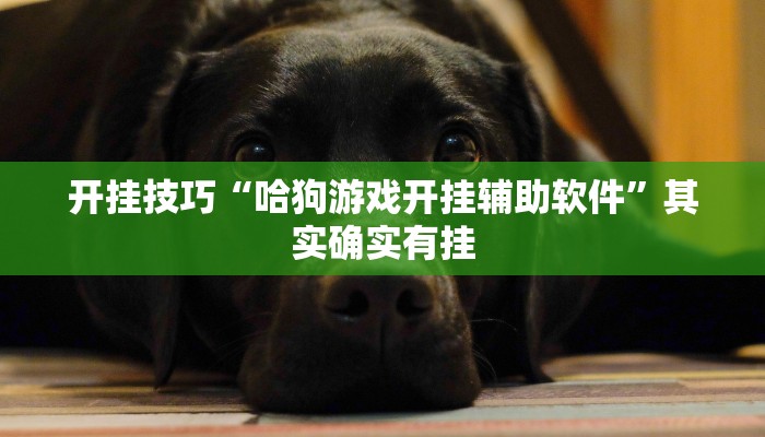 开挂技巧“哈狗游戏开挂辅助软件”其实确实有挂