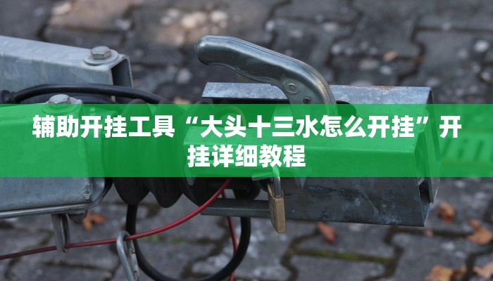 辅助开挂工具“大头十三水怎么开挂”开挂详细教程