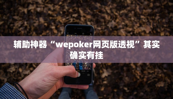 辅助神器“wepoker网页版透视”其实确实有挂