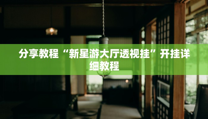 分享教程“新星游大厅透视挂”开挂详细教程