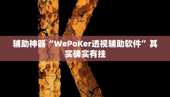 辅助神器“WePoKer透视辅助软件”其实确实有挂