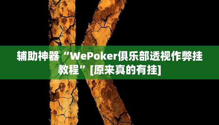 辅助神器“WePoker俱乐部透视作弊挂教程”[原来真的有挂]
