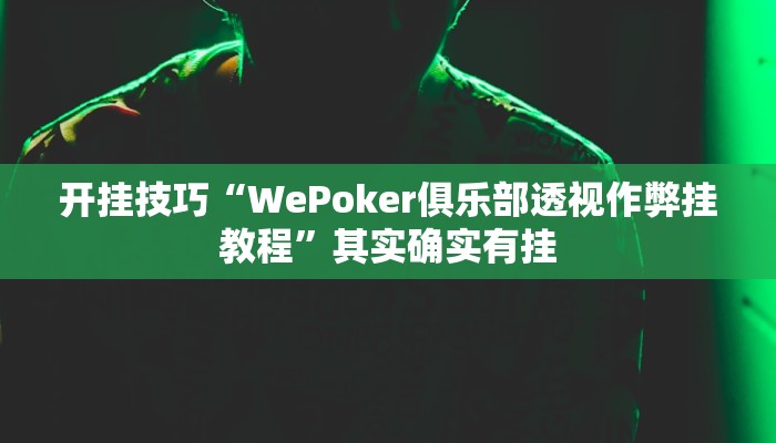 辅助神器“随身13道作弊”其实确实有挂