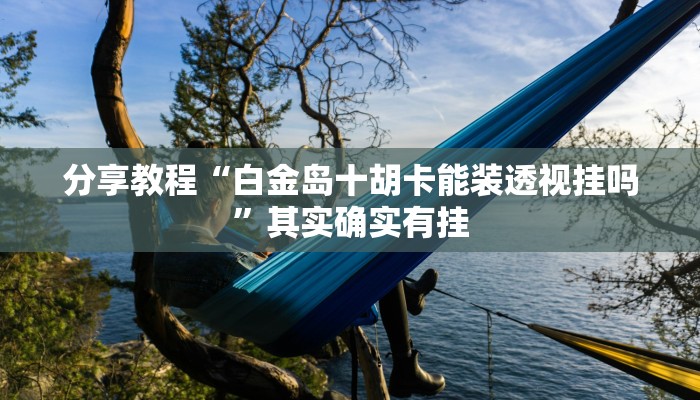 分享教程“白金岛十胡卡能装透视挂吗”其实确实有挂